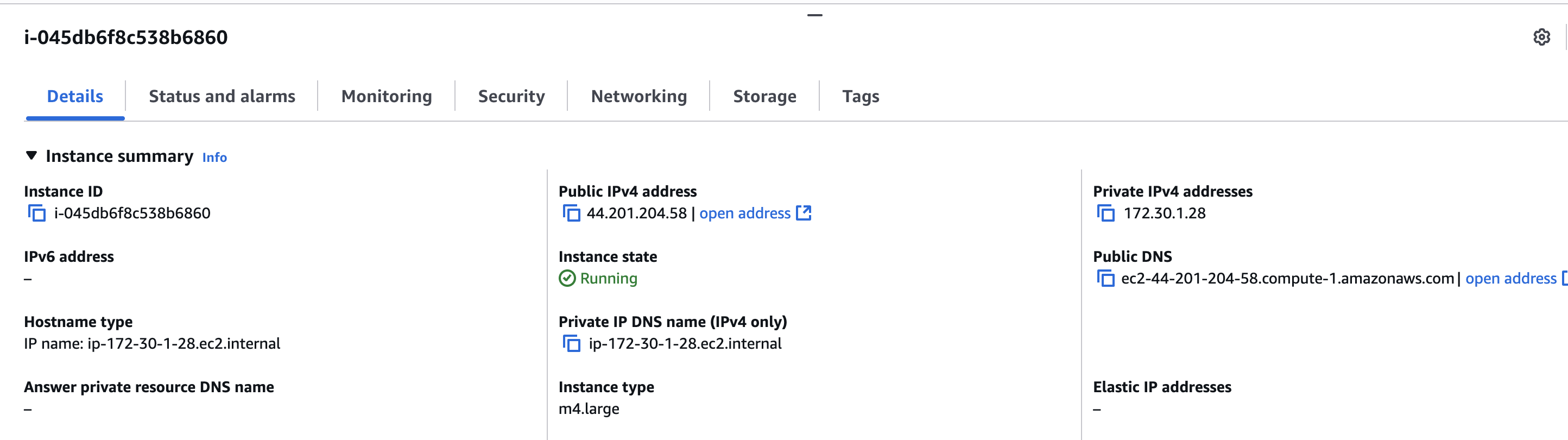 Public IP Field